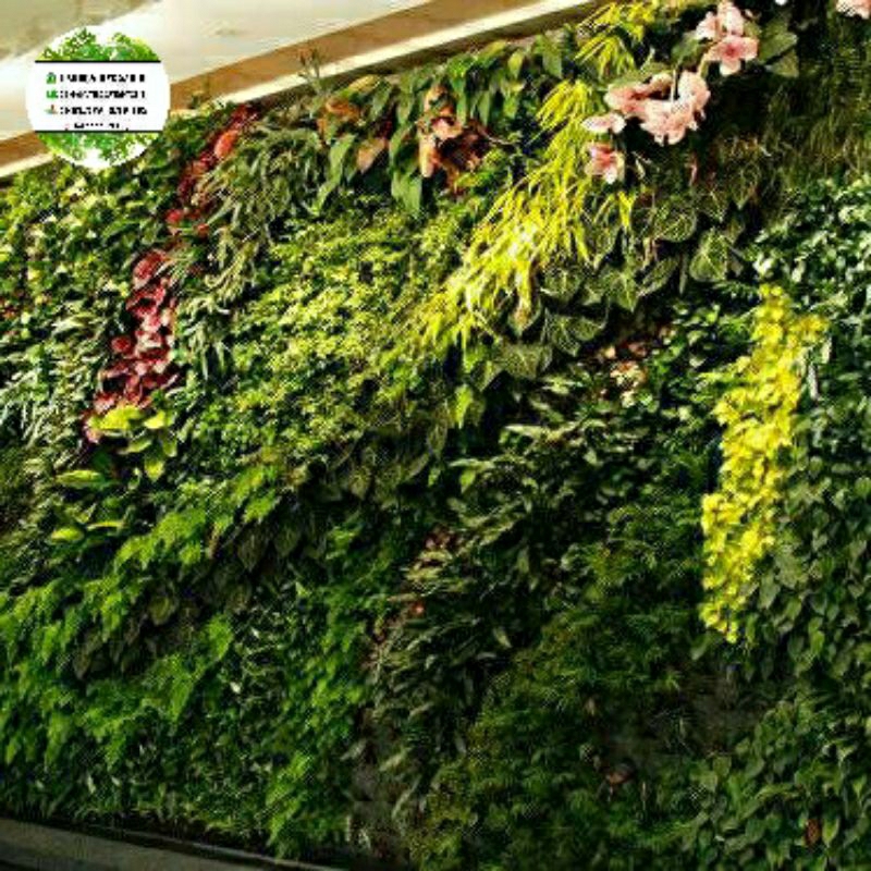 Jual Pembuatan Taman Vertical Garden Vertical Garden Dalem Rumah Taman Dalem Rumah Taman Luar