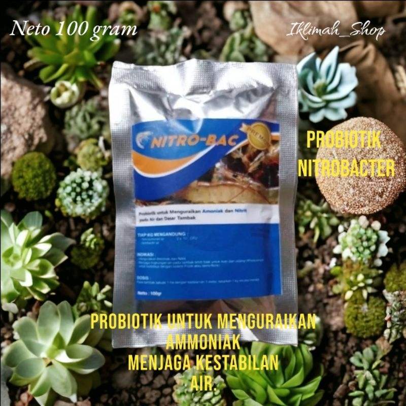 Jual Probiotik nitro bacter 100 gram/nitrobacter/probiotik | Shopee ...