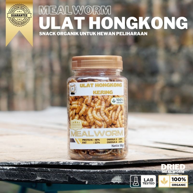 Jual Ulat Hongkong Kering DRIED MEALWORM Organic SNACK HEWAN PELIHARAAN ...