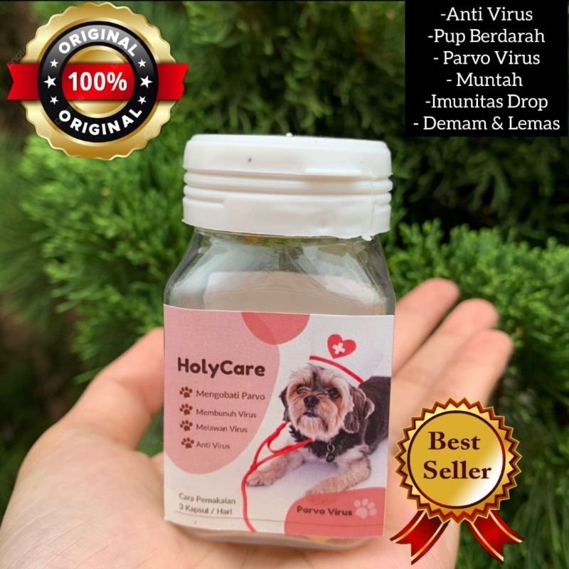 Jual Obat Parvo Anjing Paling Ampuh Holycare | Shopee Indonesia
