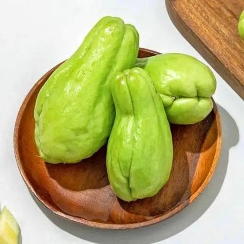Jual Replika Sayuran Labu Siam / buah Labu siam / Mainan anak / Edukasi ...
