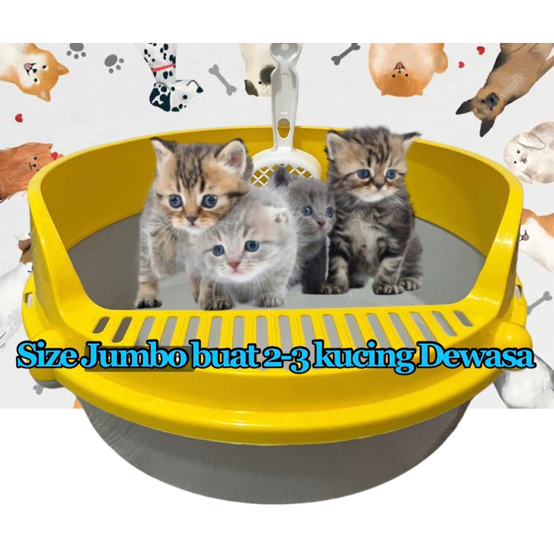 Jual INDO KADO Cat Litter Box /Bak Pasir Toilet Kucing Shopee Indonesia