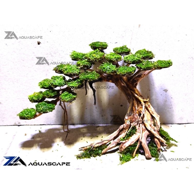Jual KAYU BONSAI AQUASCAPE HIASAN AQUASCAPE AQUARIUM Shopee Indonesia