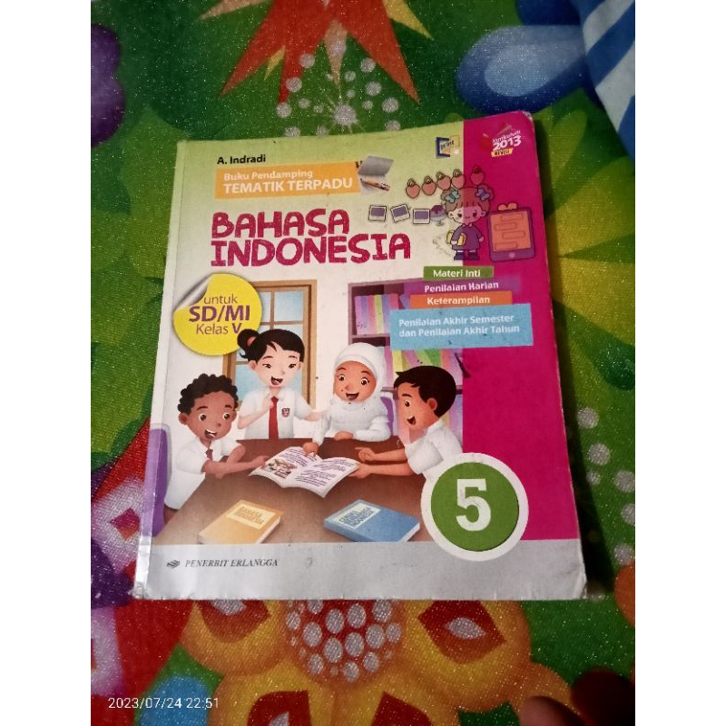 Jual Buku Ori Pendamping Tematik Terpadu Bahasa Indonesia Kelas 5 Sd Penerbit Erlangga Shopee