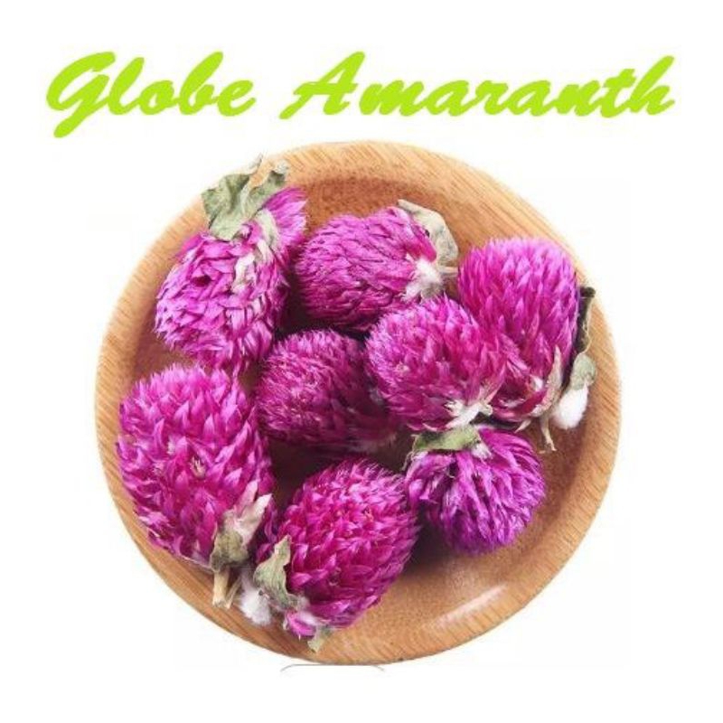 Jual Teh Bunga Amaranth Teh Herbal Alami / Globe Amaranth Tea | Shopee ...