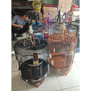 Katta sikli erkaklar bilan jinsiy aloqa video