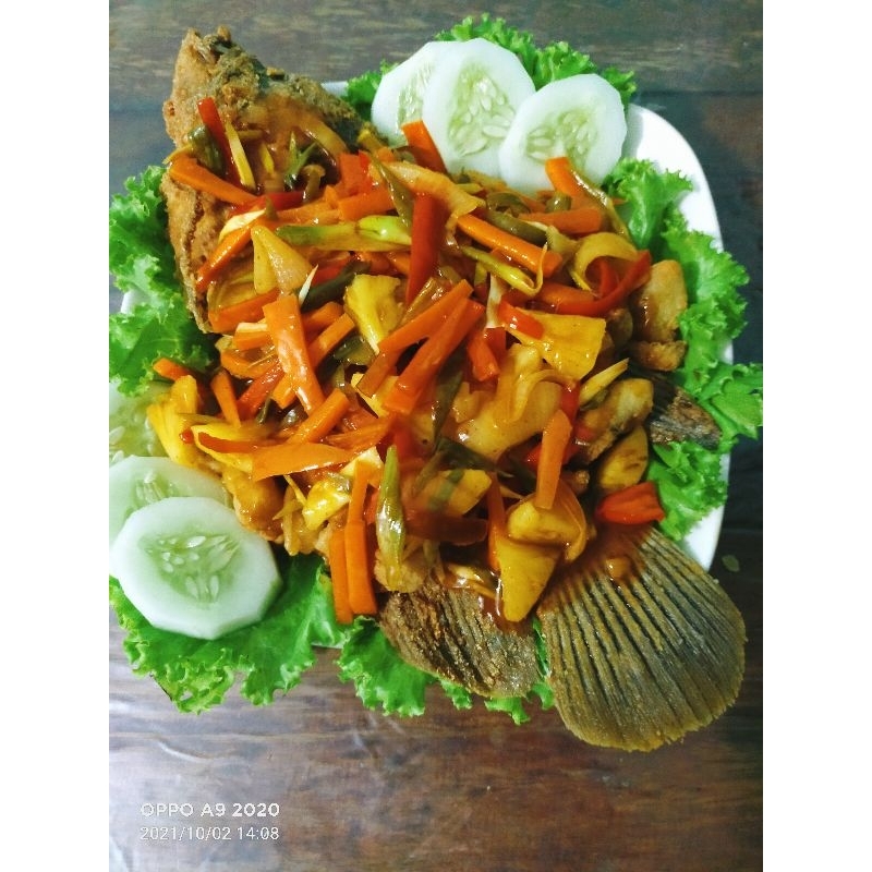 Jual Lauk pauk/Aneka lauk pauk/Ikan | Shopee Indonesia