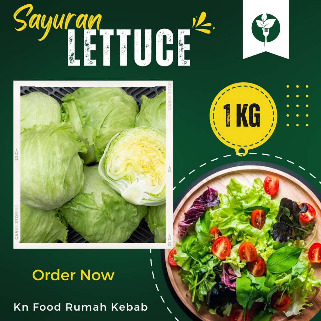 Jual Letus/letuce 1 Kg Letuce Segar | Shopee Indonesia