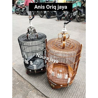 Juda oriq eshaklar sikadi ruschada