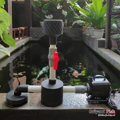 Jual Paket Set Instalasi Pompa Skimmer Statis Vacuum Drain Kolam Koi Shopee Indonesia