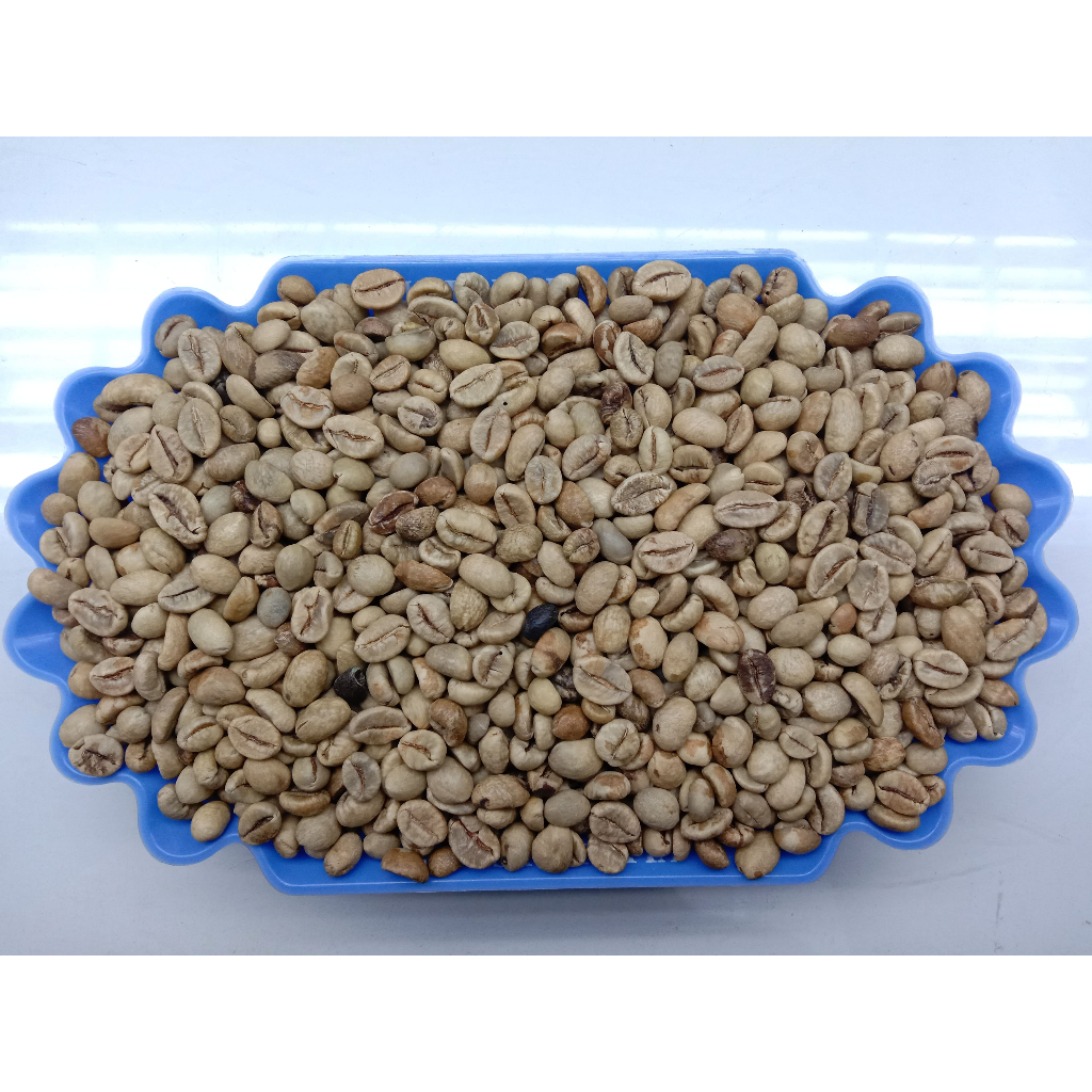 Jual Ap Grade Robusta Green Bean Biji Kopi Robusta Lampung Kg Shopee Indonesia