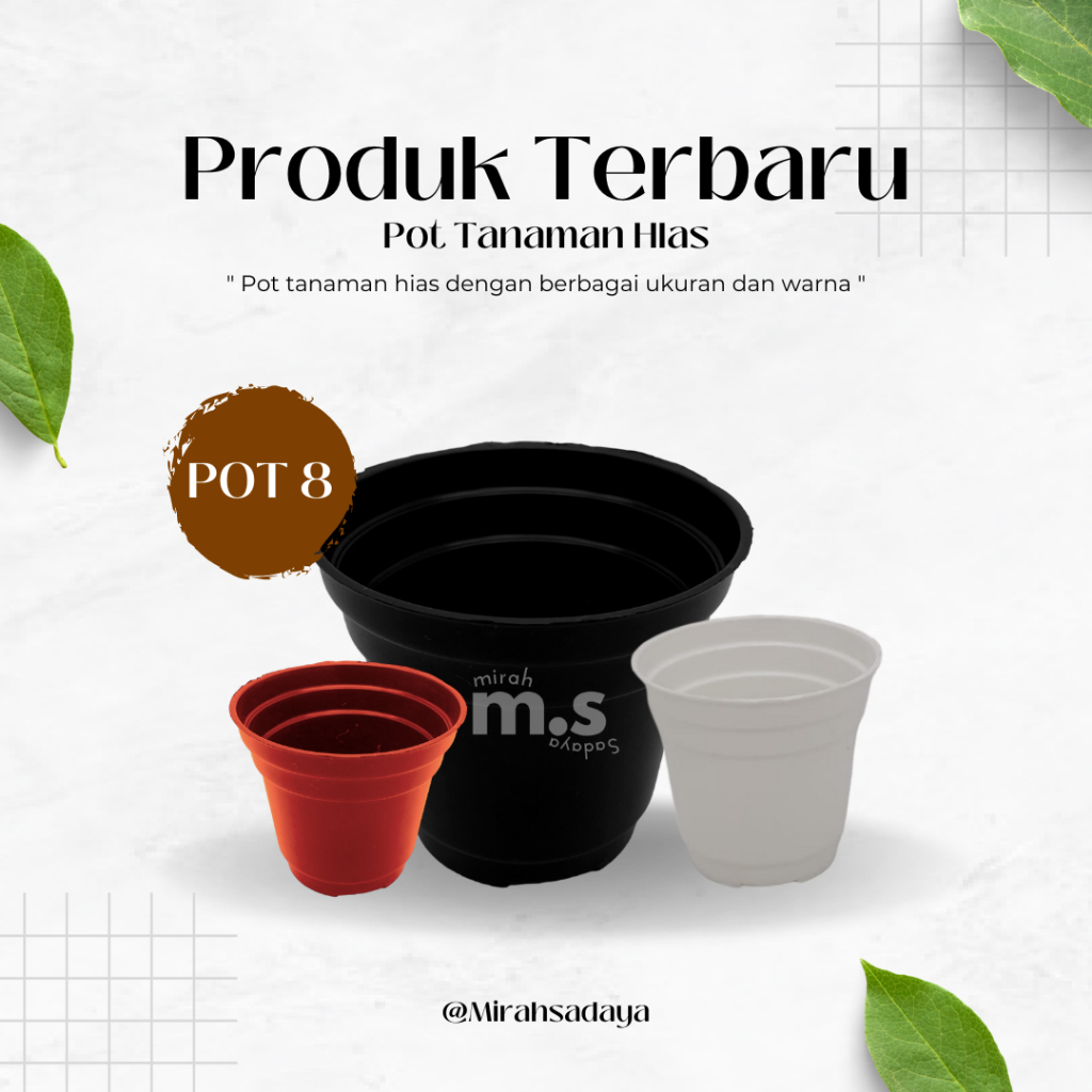 Jual Pot Tanaman Hias Mini/Pot Tanaman Plastik 8cm Putih Hitam | Shopee