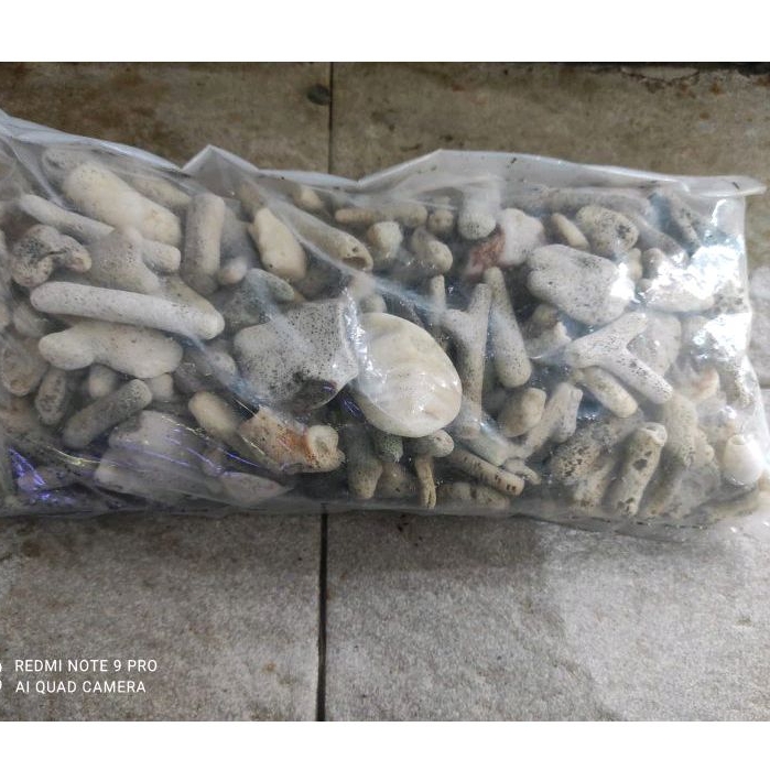 Jual Karang Jae Media Filter Air Laut dan Air Tawar 1 kg Shopee Indonesia