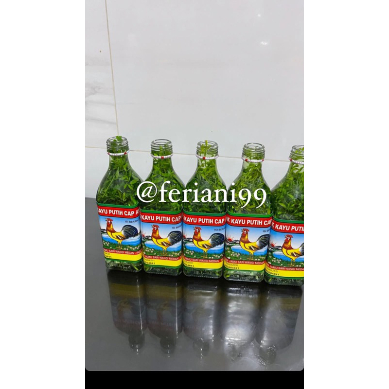 Jual minyak kayu putih rendaman chau chau | Shopee Indonesia