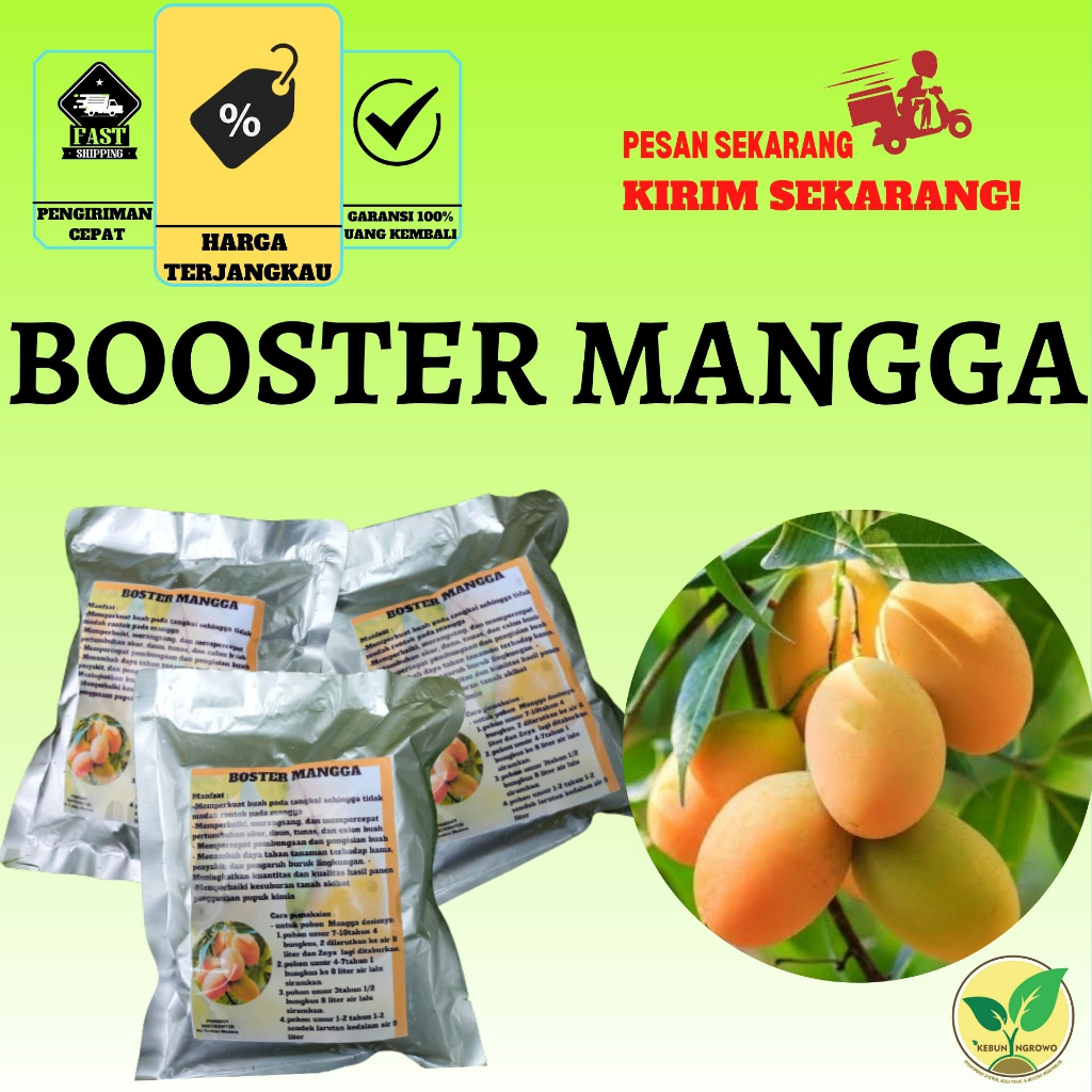 Jual Pupuk Booster Organik Pelebat Buah Mangga Dan Perangsang Mangga Agar Cepat Berbuah Lebat