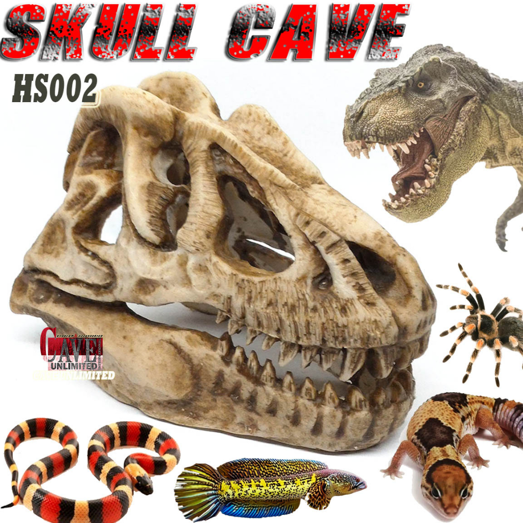Jual HS002 TYRANNOSAURUS T-REX DINOSAURUS DINOSAUR TENGKORAK ORNAMEN ...