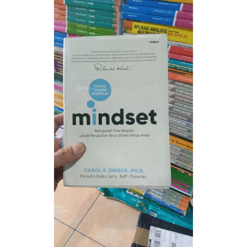 Jual Mindset Mengubah Pola Berpikir Untuk Perubahan Besar Dalam Hidup ...