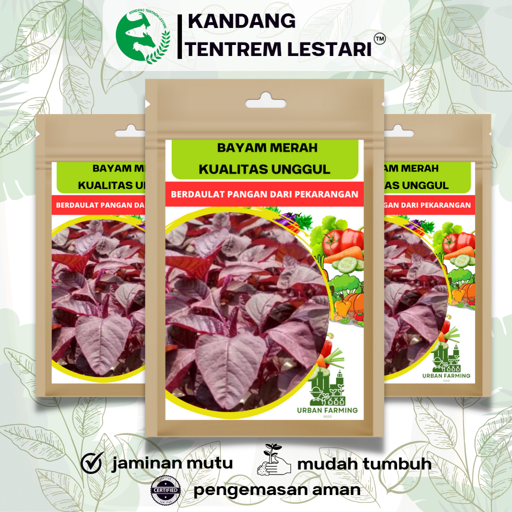 Jual Benih Bayam Merah 10 Gr Urban Farming Unggul | Shopee Indonesia