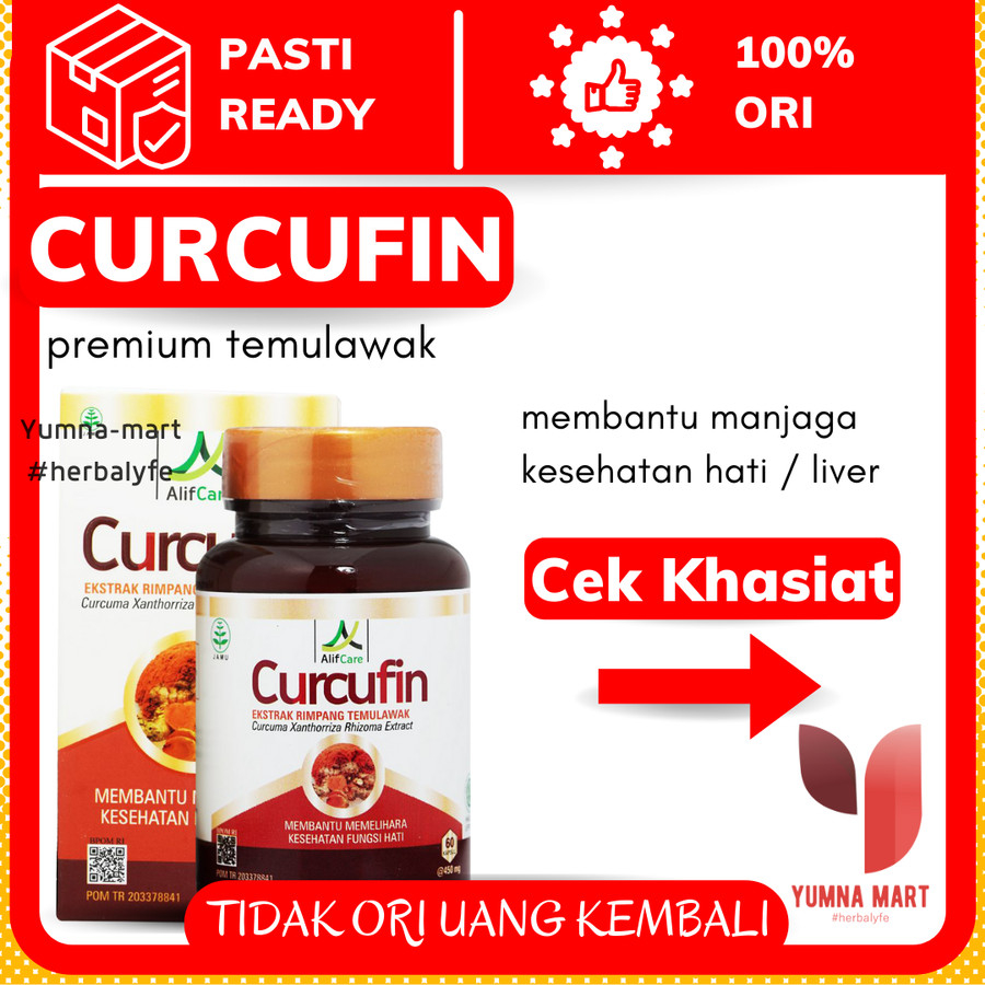 Jual Obat Hepatitis B Ampuh Ekstrak Temulawak 60 Kapsul CURCUFIN ...