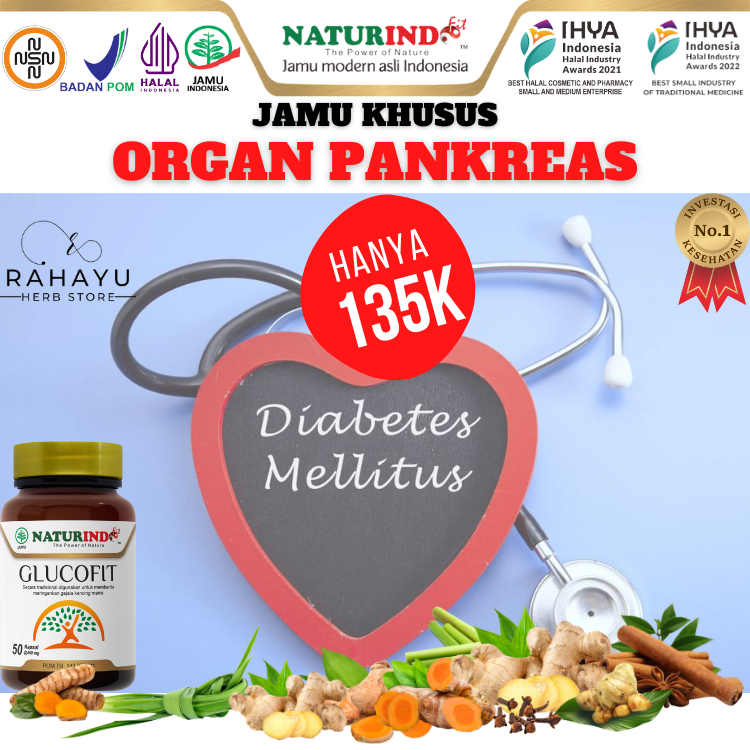 Jual Obat Diabetes Mellitus Kencing Manis Penyakit Gula GLUCOFIT ...