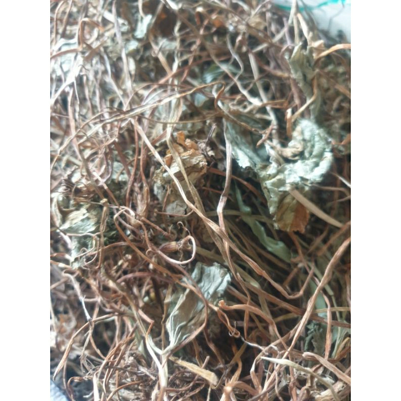 Jual Daun Pegagan Kering Gram Shopee Indonesia