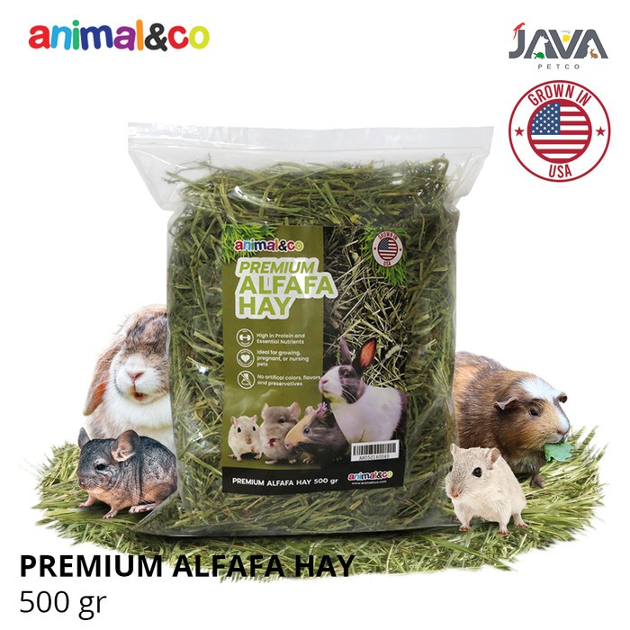 Jual Animalnco Alfalfa Hay Premium 500gr Makanan Kelinci Guinea Pig
