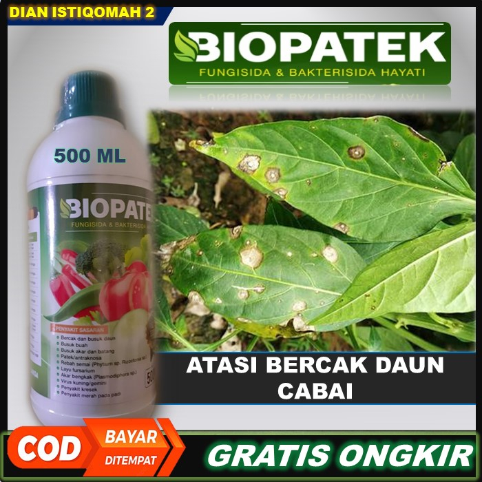 Jual Terbaru Biopatek Fungisida Bakterisida Hayati Pupuk Paling Ampuh