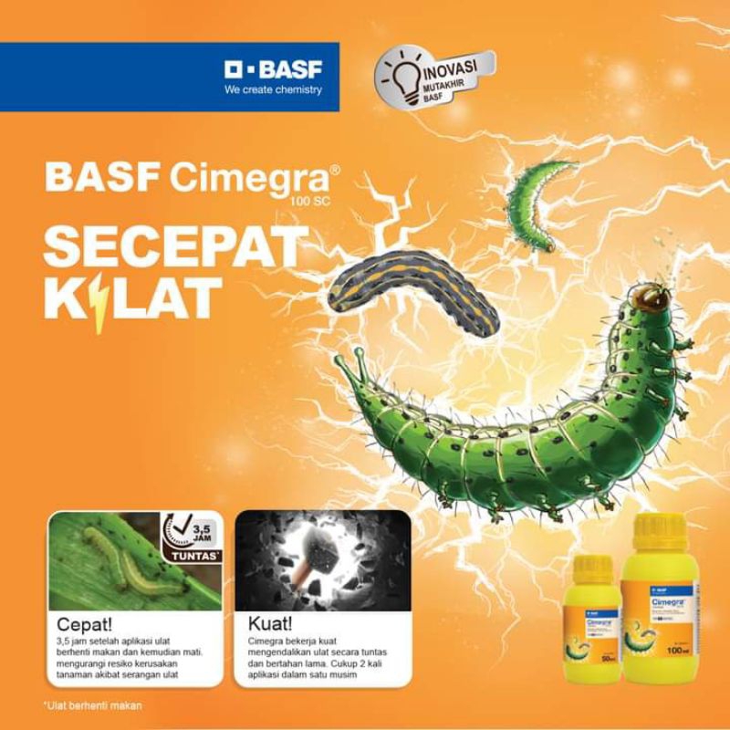 Jual Insektisida cimegra 50ml,100ml ready pestisida Obat Pertanian obat ...
