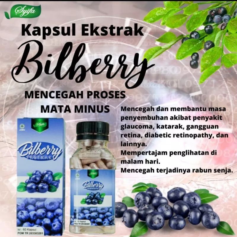 Jual KAPSUL EKSTRAK BILBERRY SYIFA HERBAL KESEHATAN MATA HERBAL