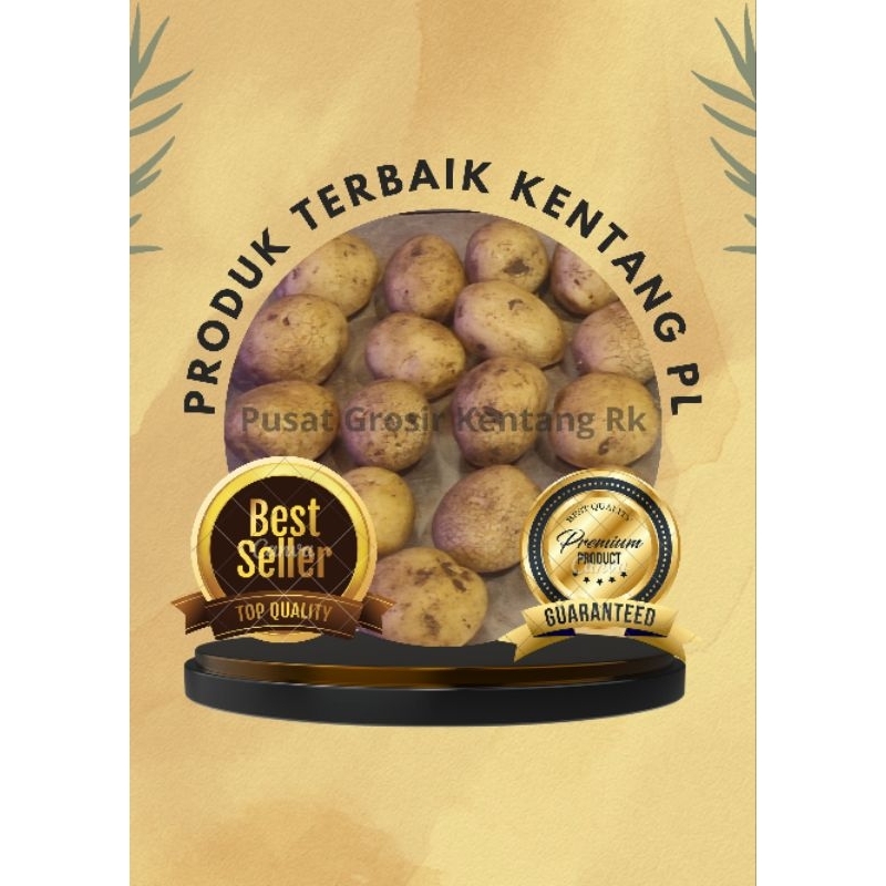 Jual Kentang Dieng Pl Kentang Siomay 1kg Shopee Indonesia