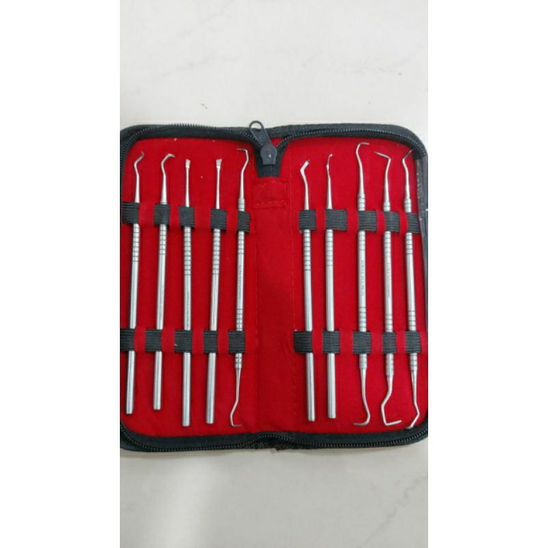 Jual Dental periodontal instrument Scaler Manual isi 10 senshan AKL ...