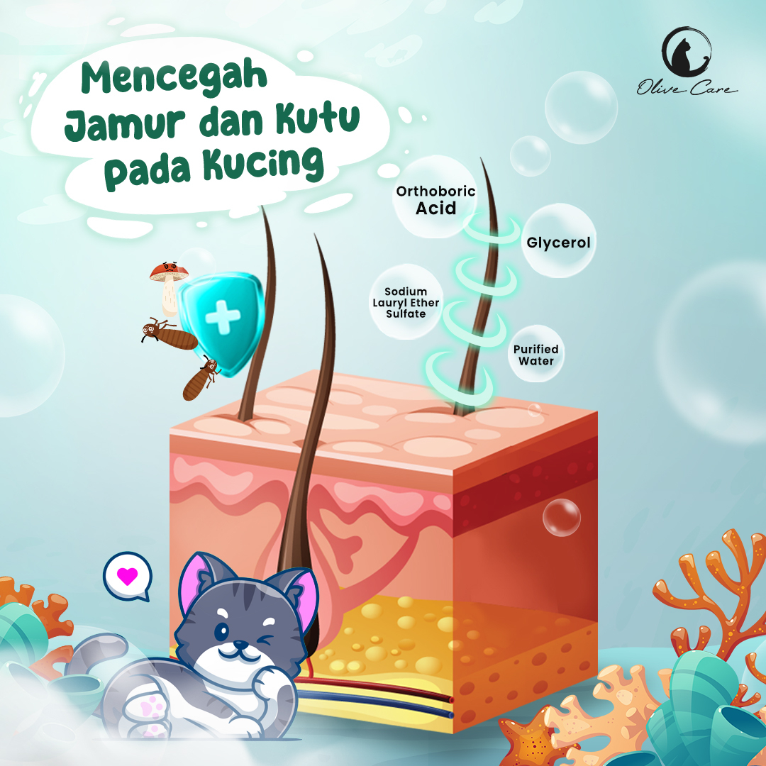 Gambar Produk 4