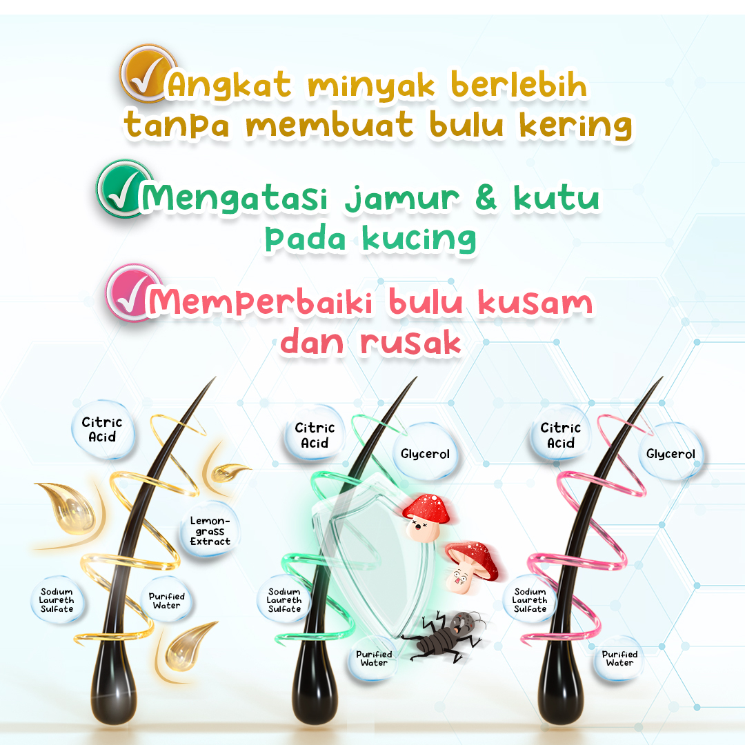 Gambar Produk 4