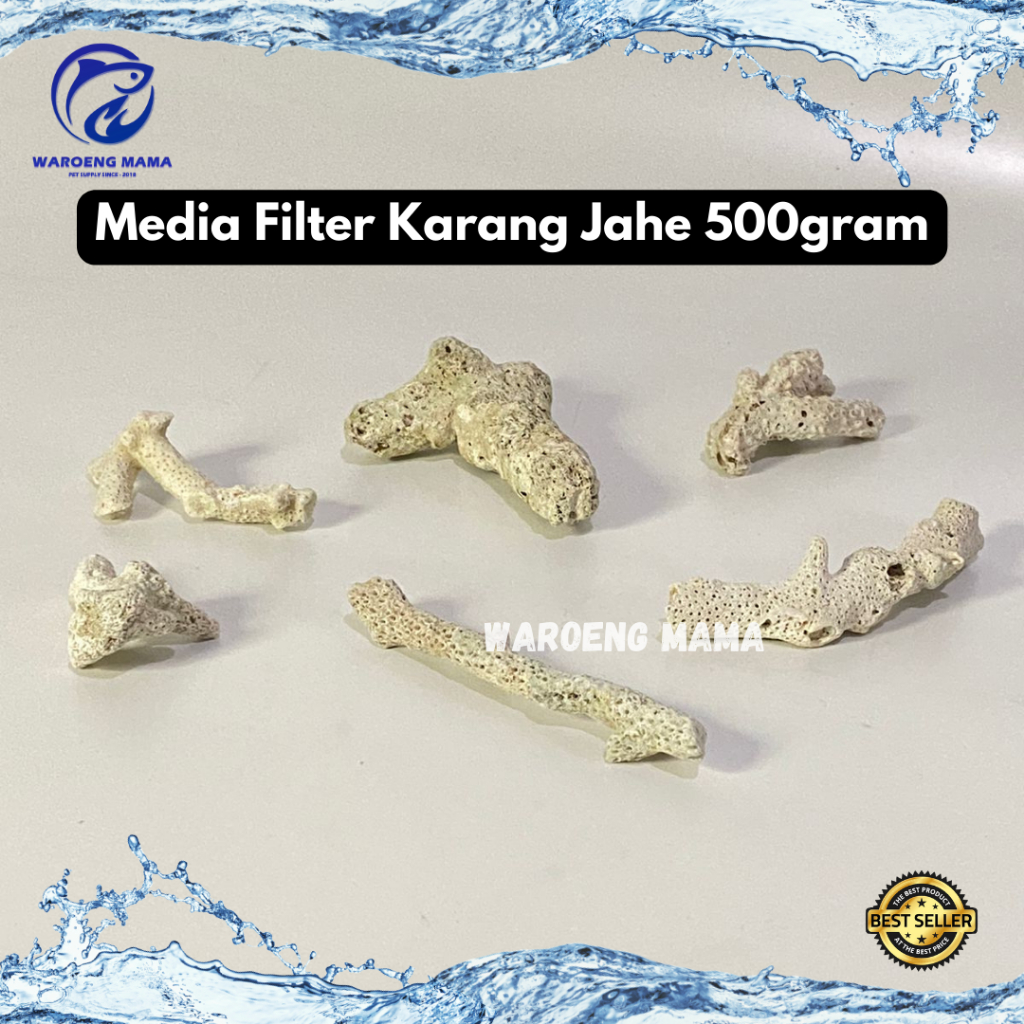 Jual Karang Jahe Media Filter Aquarium dan Kolam Ikan 500gram dan 1kg ...