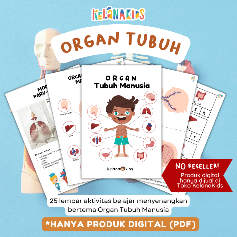 Kenalan Yuk Sama Organ Tubuh dan Fungsinya, Penting Banget Buat Bocil!