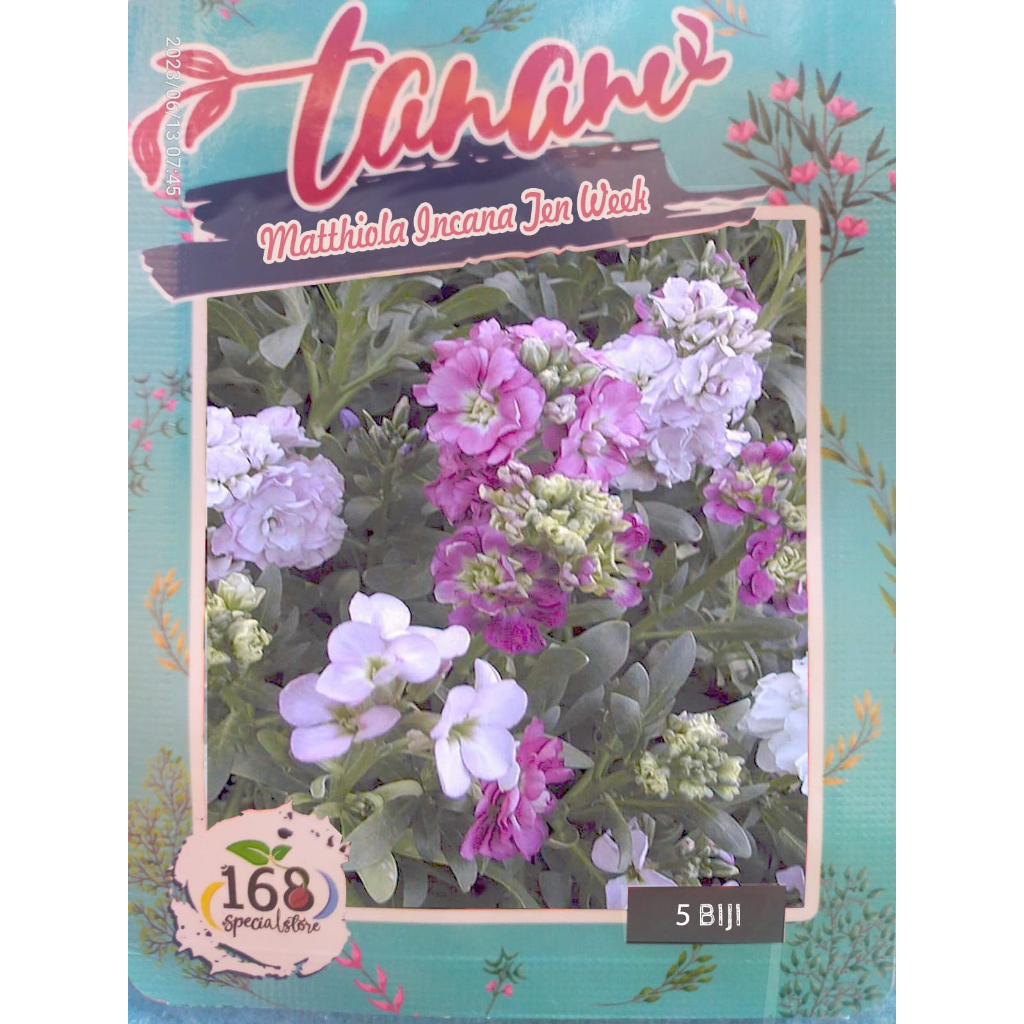 Jual Biji Bunga Matthiola Incana Ten Week Mix Color (Isi 5 biji ...