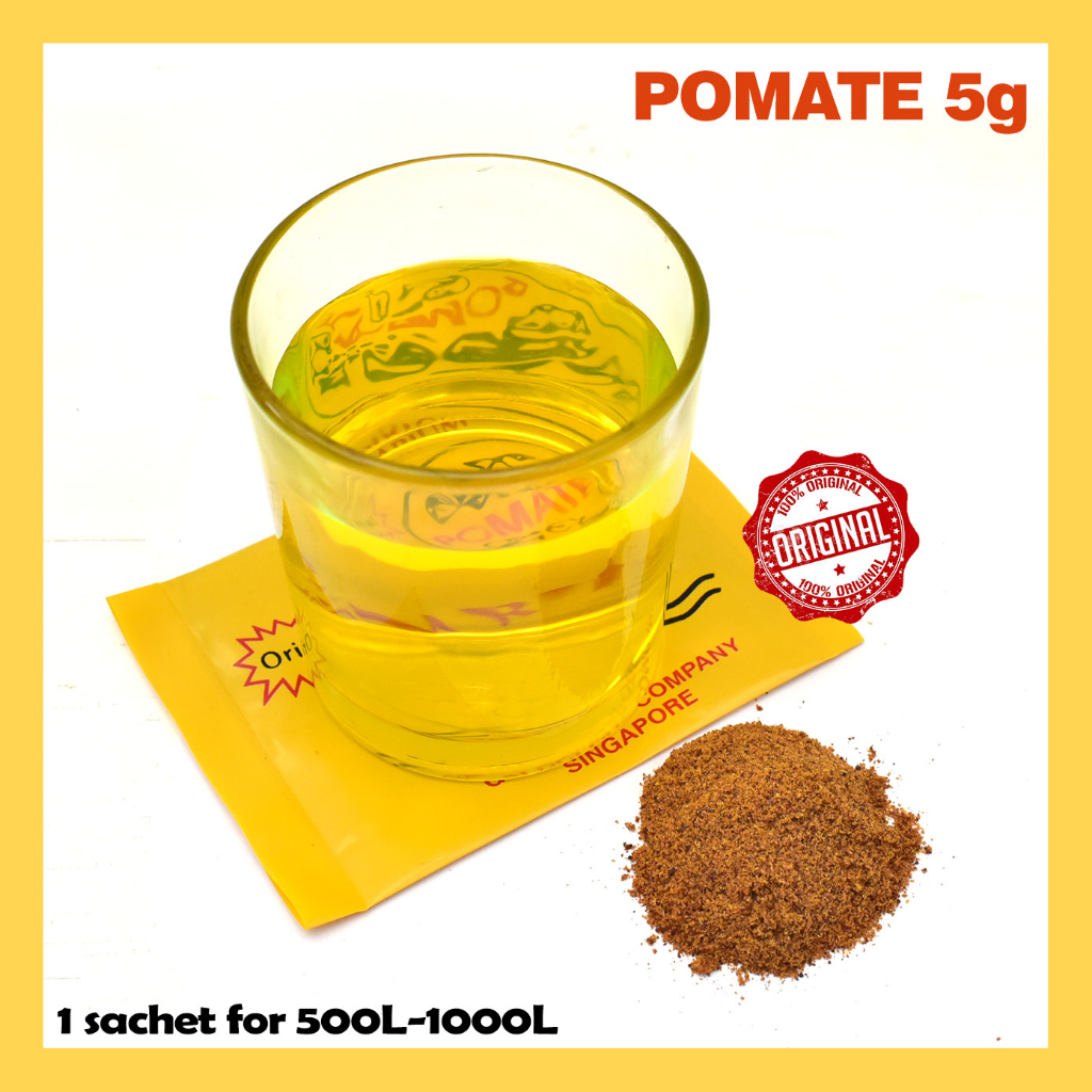 Jual POMATE 5g obat ikan (Singapore International ORIGINAL FORMULA ...