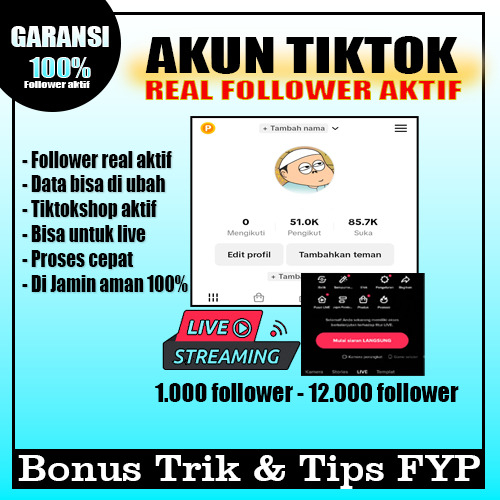 Jual Jual Akun TikTok Real Followers Aktif Indonesia Hasil FYP ...