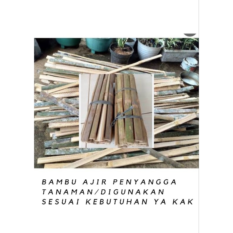 Jual Bambu Bilahbambu Belah 60cm Bambu Penyangga Tanaman Dijual 1