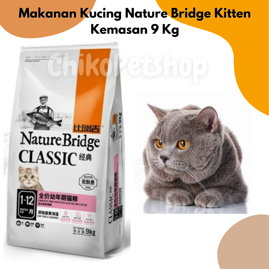 Nature bridge outlet kitten