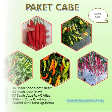 JUAL BENIH BIBIT TANAMAN CABE (1PAKET ISI 5JENIS BENIH CABE)