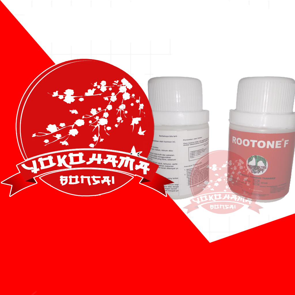 Jual YOKOHAMA BONSAI - Rootone f 50 gram hormon tumbuh akar | Shopee ...