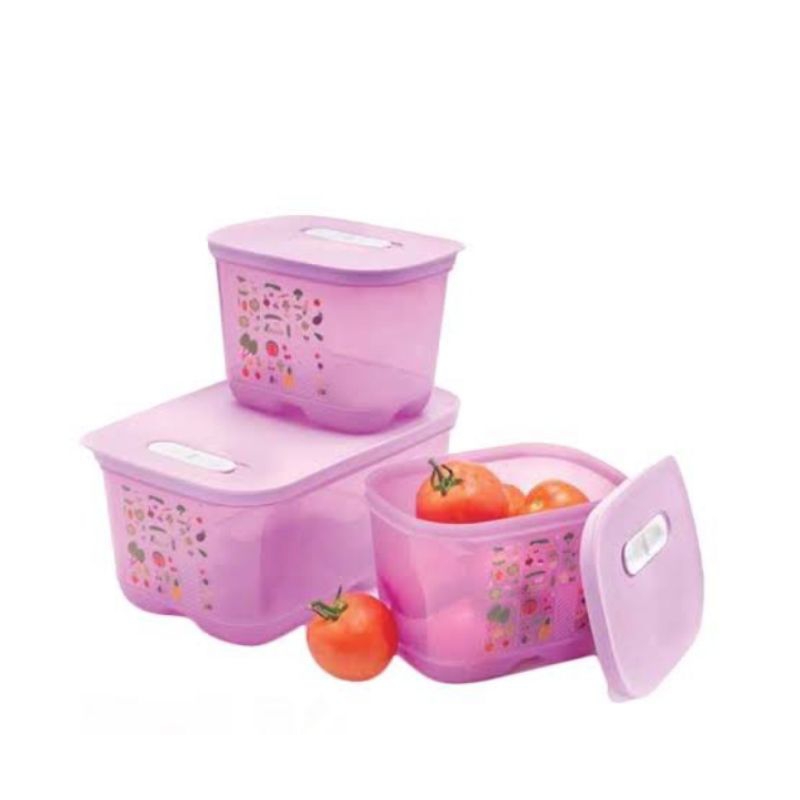 Jual Vensmart tupperware tempat buah dan sayur | Shopee Indonesia