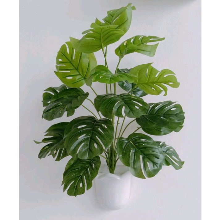 POHON MONSTERA ARTIFICIAL 18 TANGKAI JUMBO DENGAN POT DINDING OMBAK