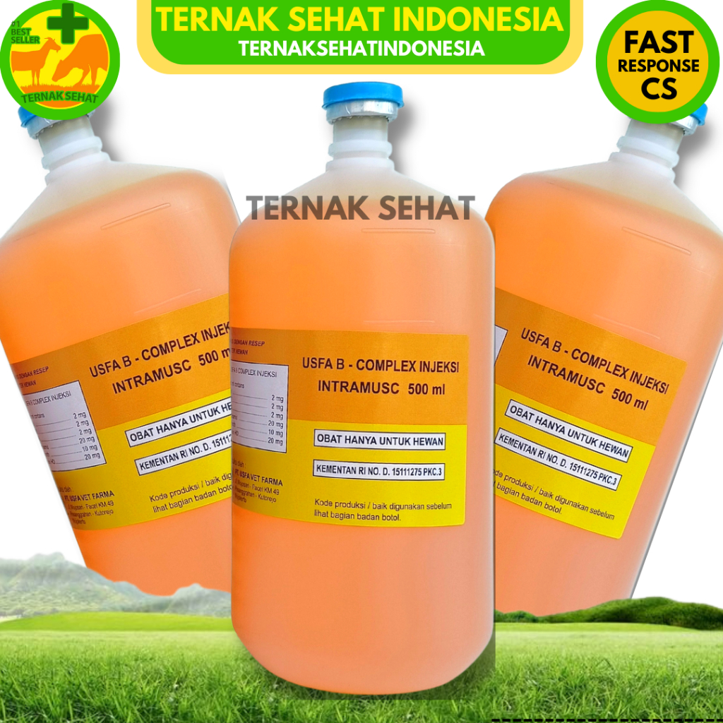 Jual USFA B COMPLEX Injeksi 500ml | Shopee Indonesia