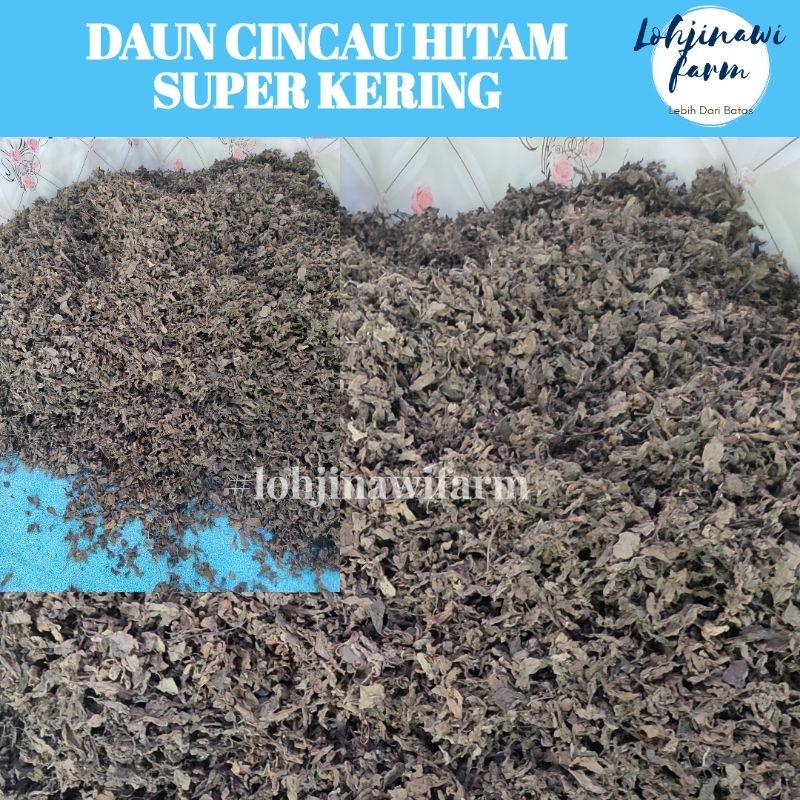 Jual Daun Dan Ranting Cincau Hitam Super Kering (Grass Jelly powder) 1 ...