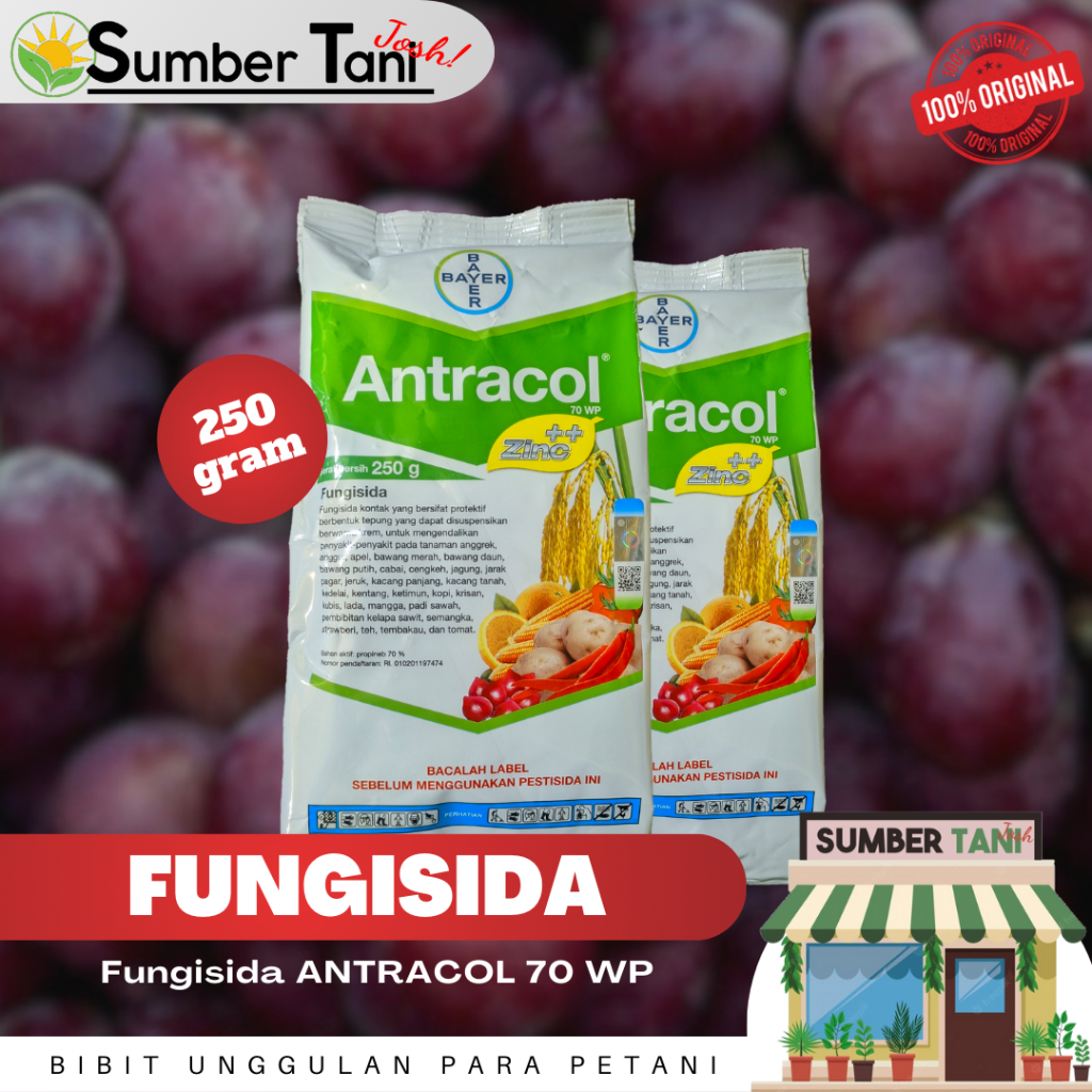 Jual FUNGISIDA ANTRACOL 70 WP ZINC KEMASAN 250 GRAM | Shopee Indonesia