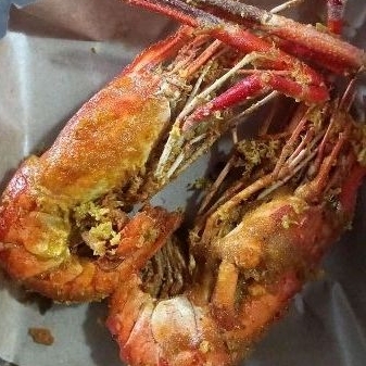 Jual UDANG GALA JUMBO PREMIUM 1KG MURAH | Shopee Indonesia