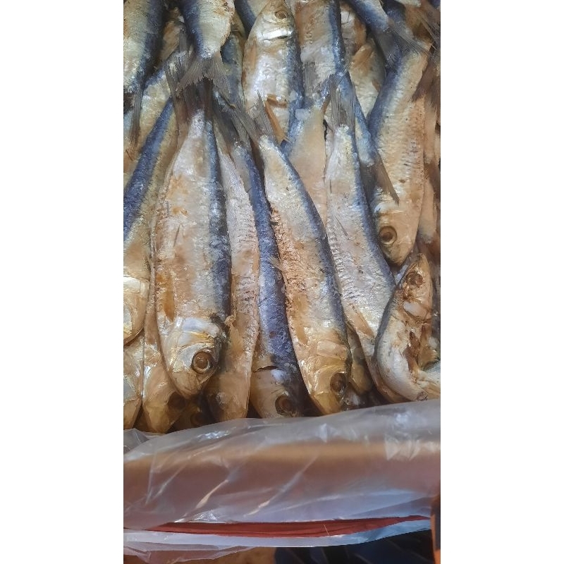 Jual Ikan Asin Serba 10 Ribu | Shopee Indonesia