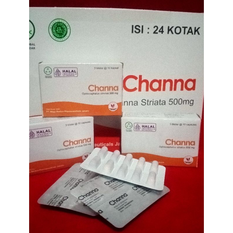 Jual Channa, Kapsul Kutuk, Albumin, Harga Per 30 Box Isi Kapsul Ed 2026 ...